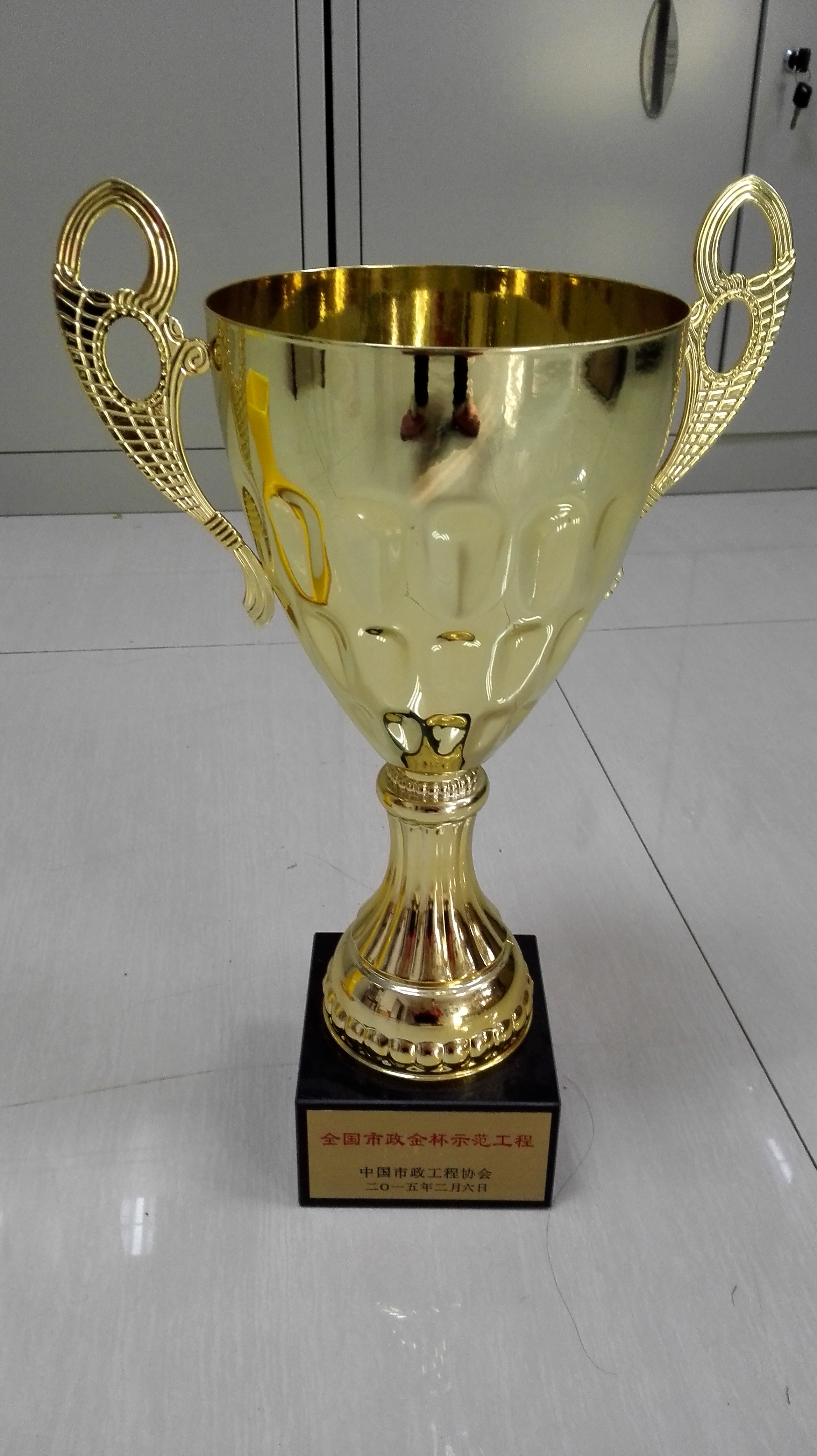 全國市政金杯示范工程2015.2.6.jpg
